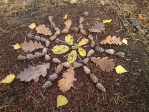 TALV landart land art